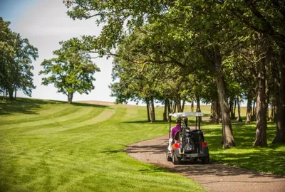 Golf cart carrying a passenger along a tree-lined path on a lush green golf course