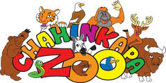 Colorful cartoon zoo logo featuring illustrated animals surrounding bold lettering