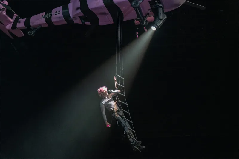 Performer in a sparkly outfit descends on a rope ladder in a single spotlight against a dark stage