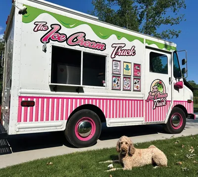 Fluffy golden dog resting beside a pink-and-white ice cream truck on a sunny day