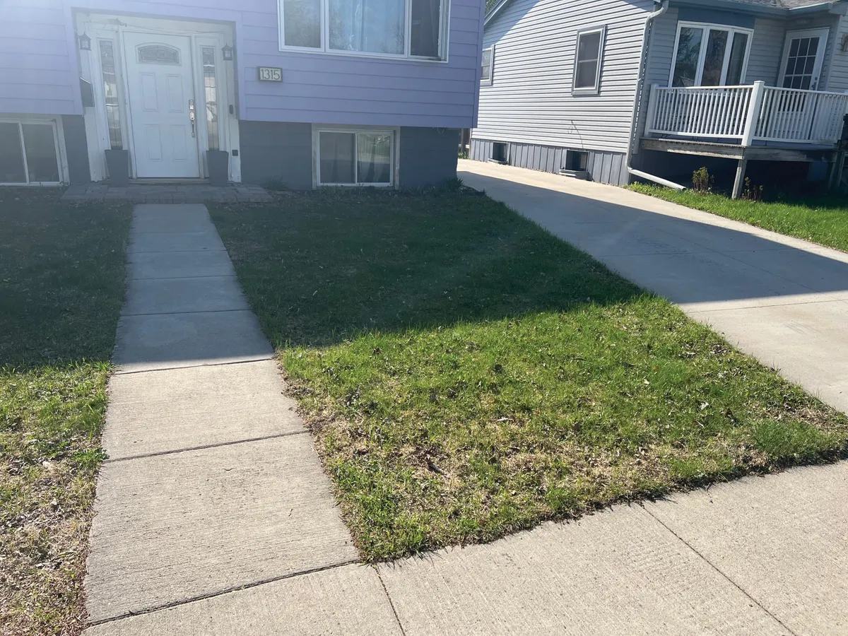 Patchy front lawn with uneven grass beside a concrete walkway leading to a house numbered 1315