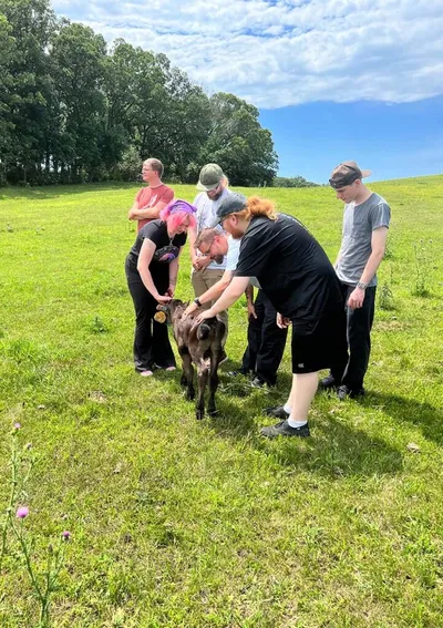 Group of people petting a dark-colored goat on a grassy hillside