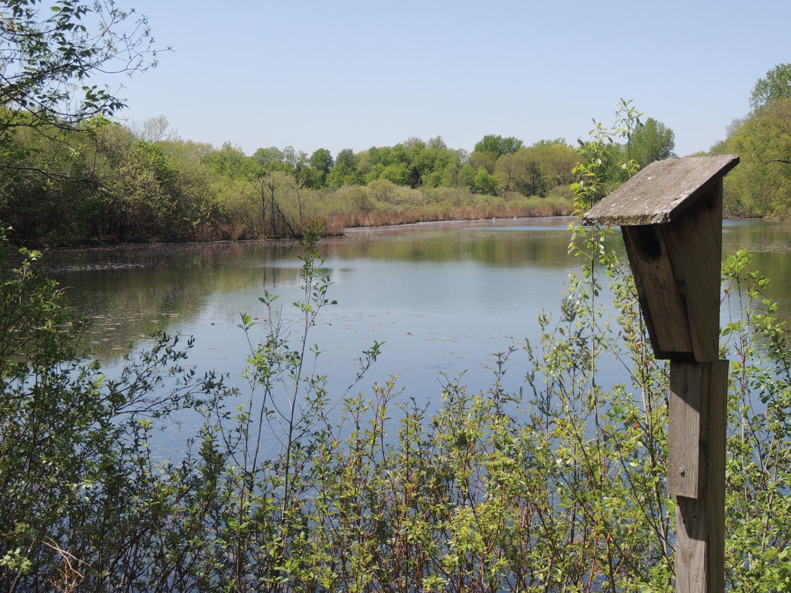 A lake framed by trees with a wooden birdhouse on a post in the foreground