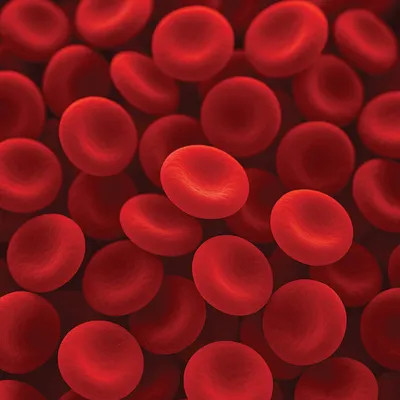 Close-up 3D illustration of red blood cells clustered together