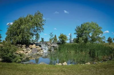 Small pond with waterfall, large rocks, and tall reeds in a green park under blue sky