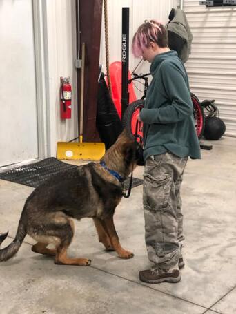 A young person with pink hair interacts with a German shepherd inside a garage