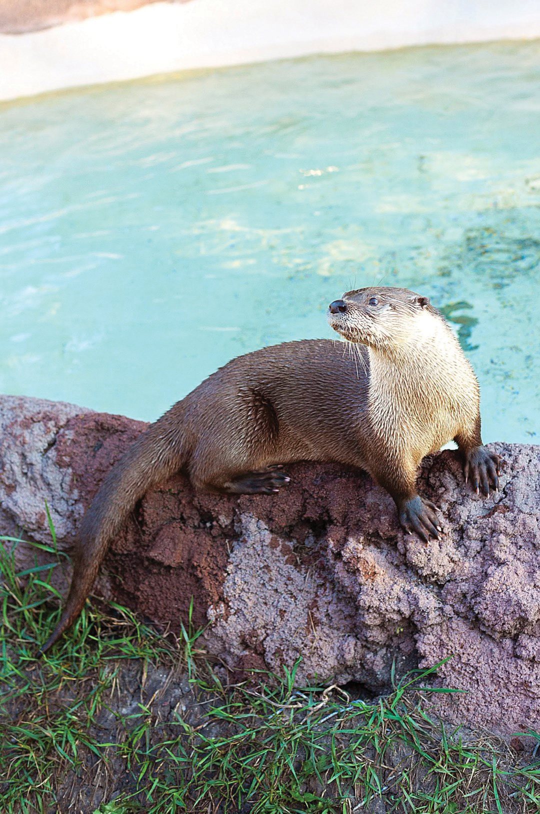 Red River Zoo