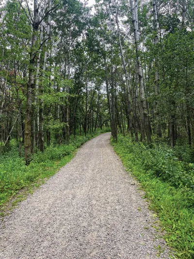 Gravel trail winding through a dense green forest on an overcast day
