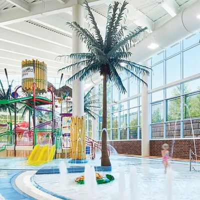 Indoor water park with artificial palm trees, colorful slides, and a shallow splash pool