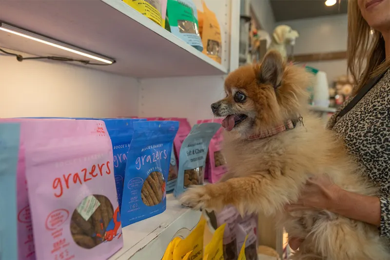 Fluffy Pomeranian held by a woman sniffing dog treat bags on a pet shop shelf